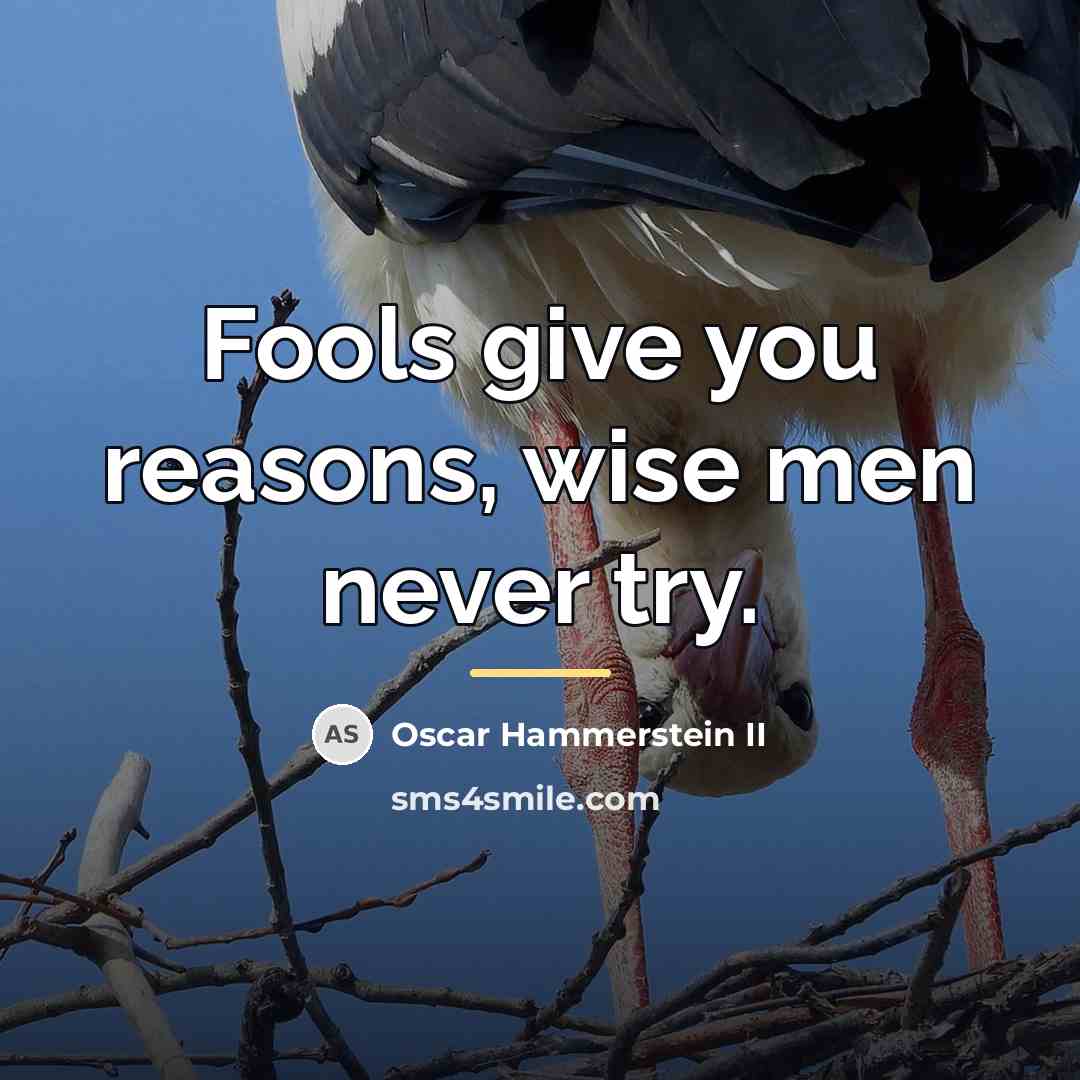 “Fools give you reasons, wise men never try.…” quote by Oscar Hammerstein II