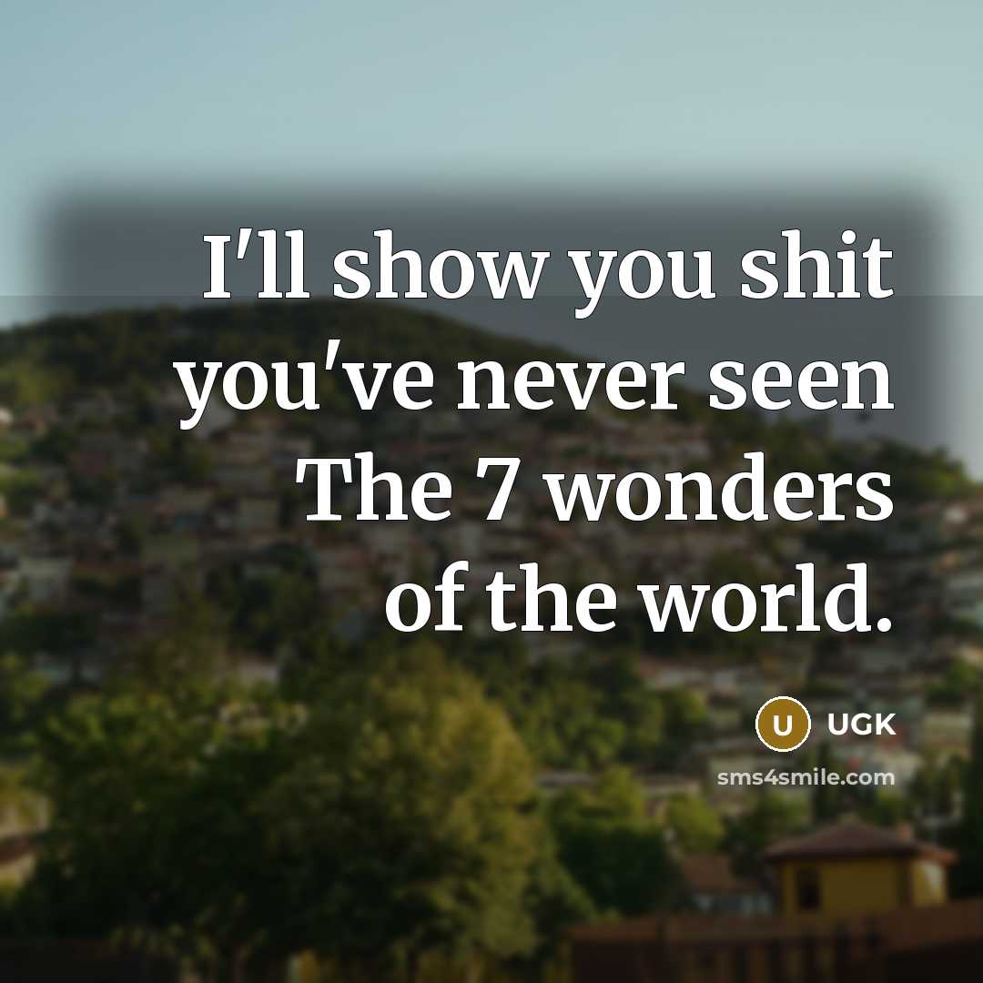 “I'll show you shit you've never seen The 7 wonders…” quote by UGK