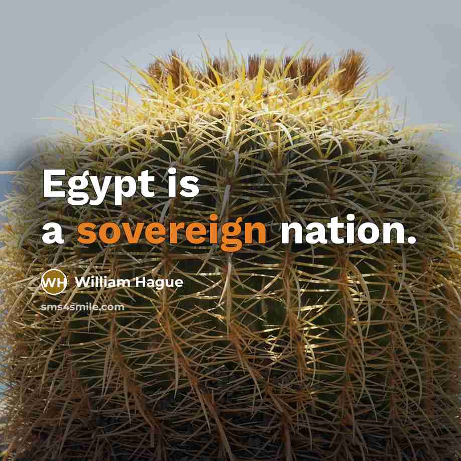 “Egypt is a sovereign nation.…” quote by William Hague