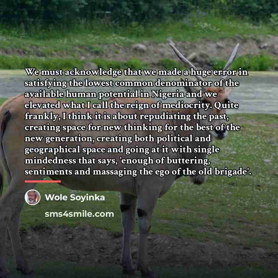 “We must acknowledge that we made a huge error in…” quote by Wole Soyinka