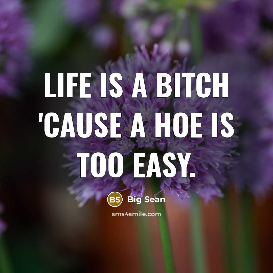 “Life is a bitch 'cause a hoe is too easy.” quote by Big Sean