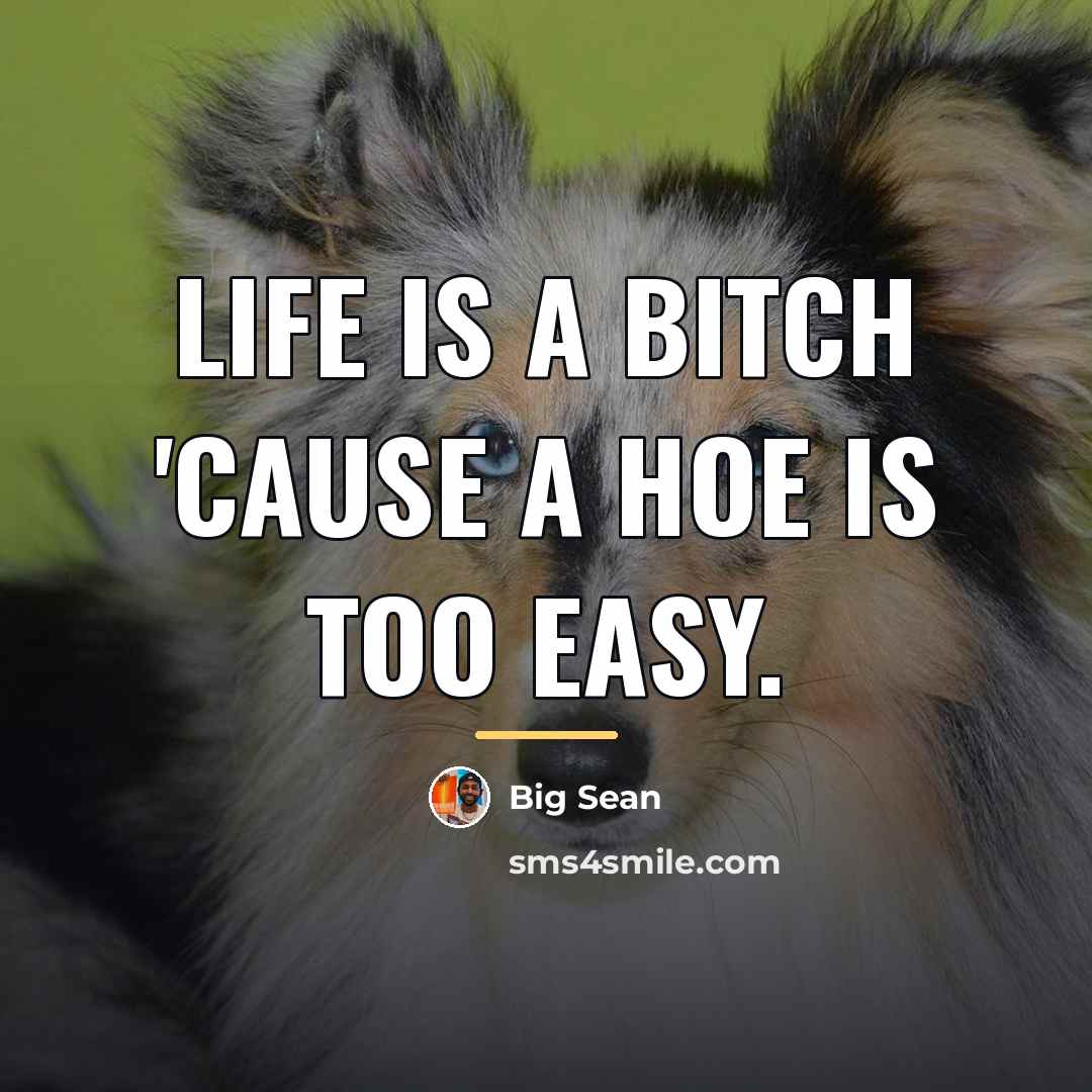 “Life is a bitch 'cause a hoe is too easy.…” quote by Big Sean