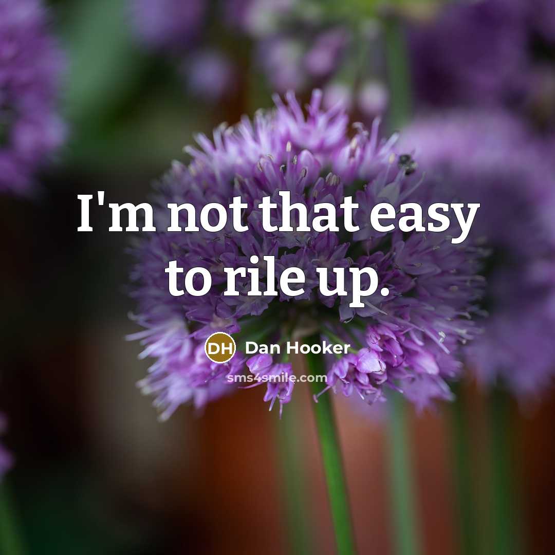 “I'm not that easy to rile up.…” quote by Dan Hooker