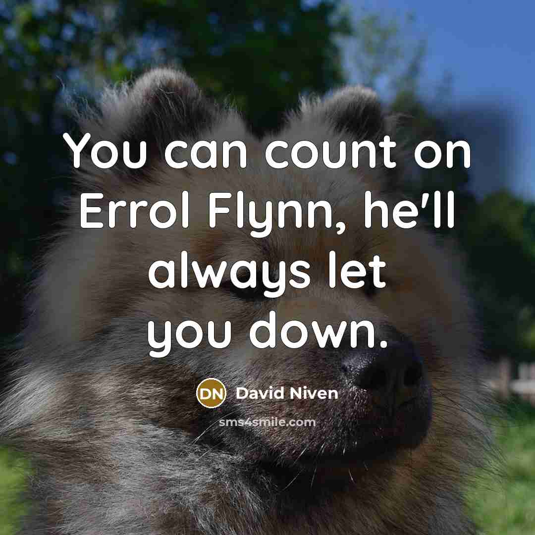 “You can count on Errol Flynn, he'll always let you…” quote by David Niven