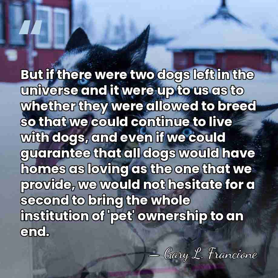 But if there were two dogs left in the universe and it&hellip; - Gary L. Francione