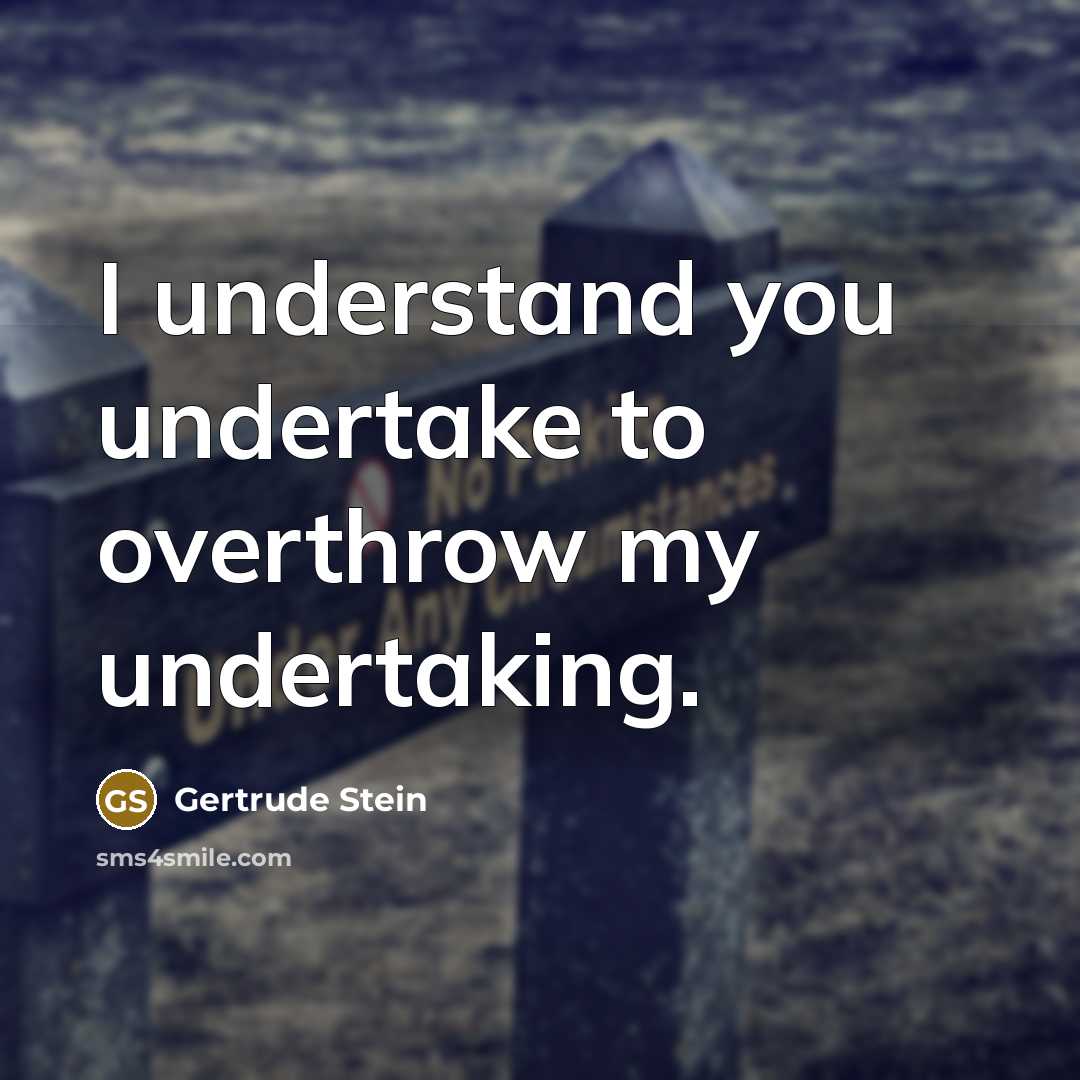 “I understand you undertake to overthrow my undertaking.” quote by Gertrude Stein