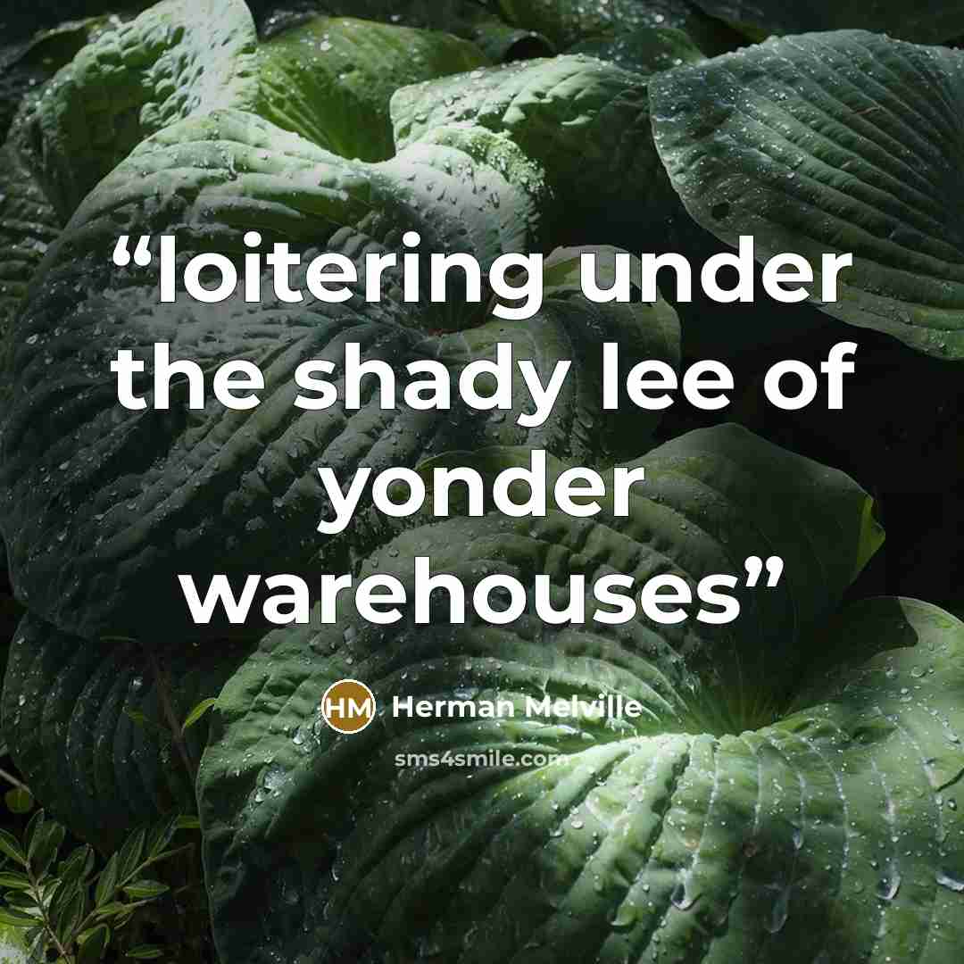 “loitering under the shady lee of yonder warehouses” quote by Herman Melville