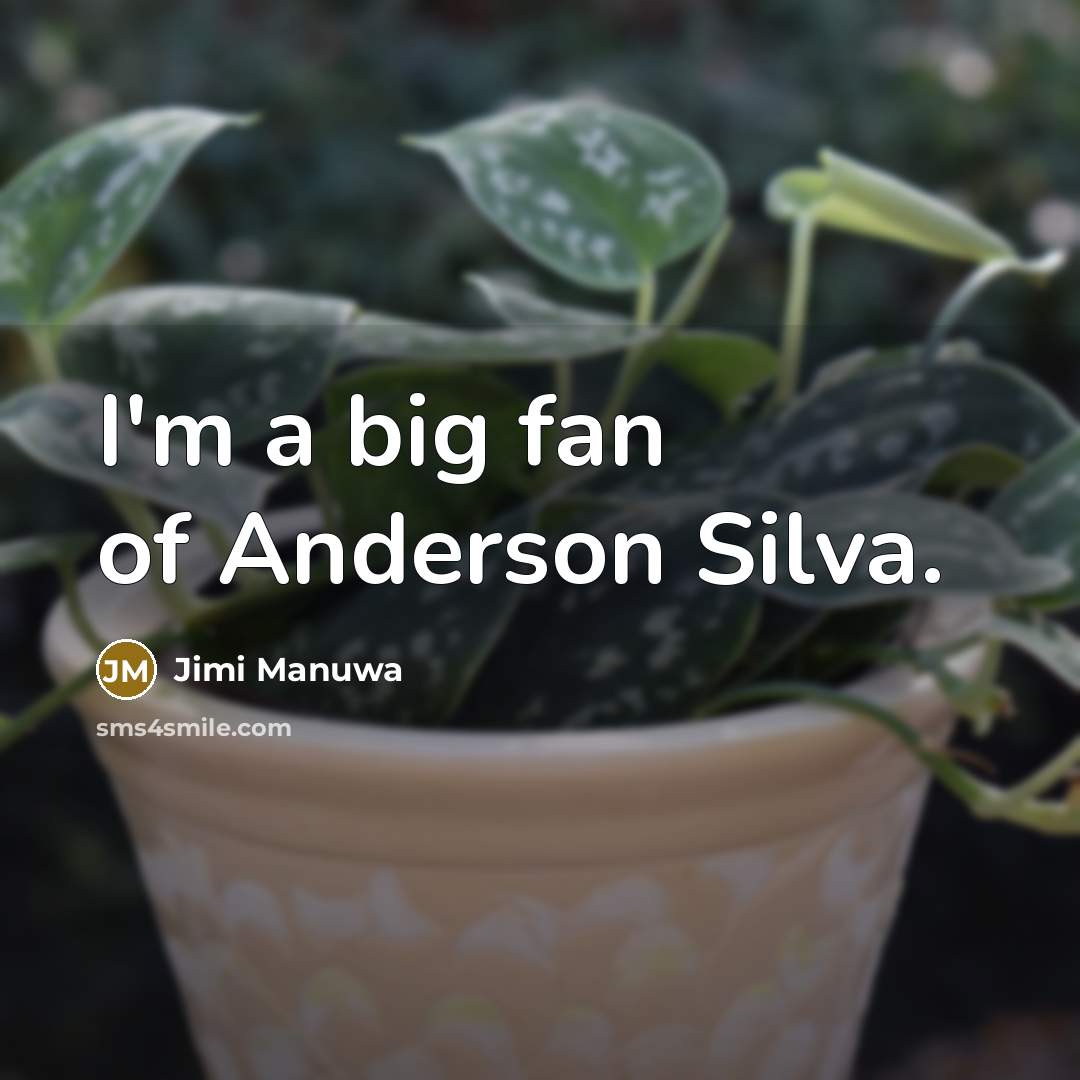 “I'm a big fan of Anderson Silva.…” quote by Jimi Manuwa