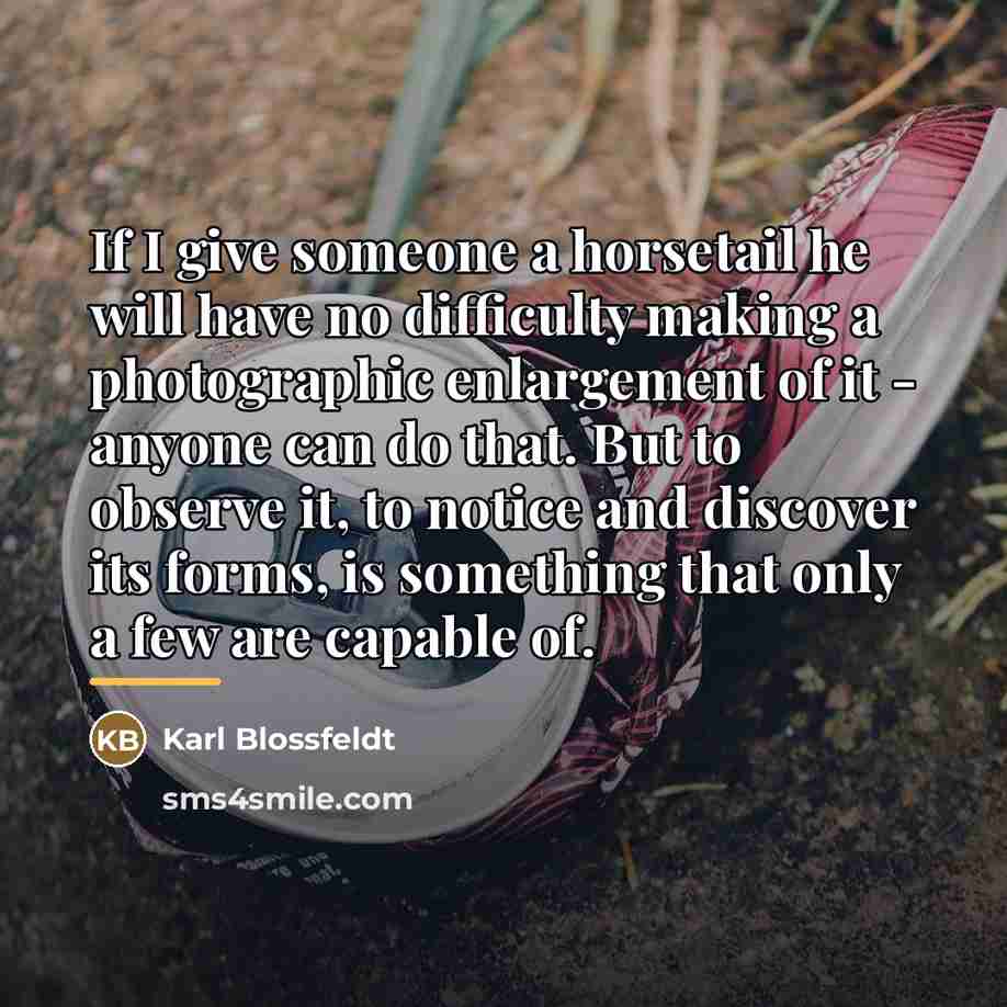 “If I give someone a horsetail he will have no…” quote by Karl Blossfeldt
