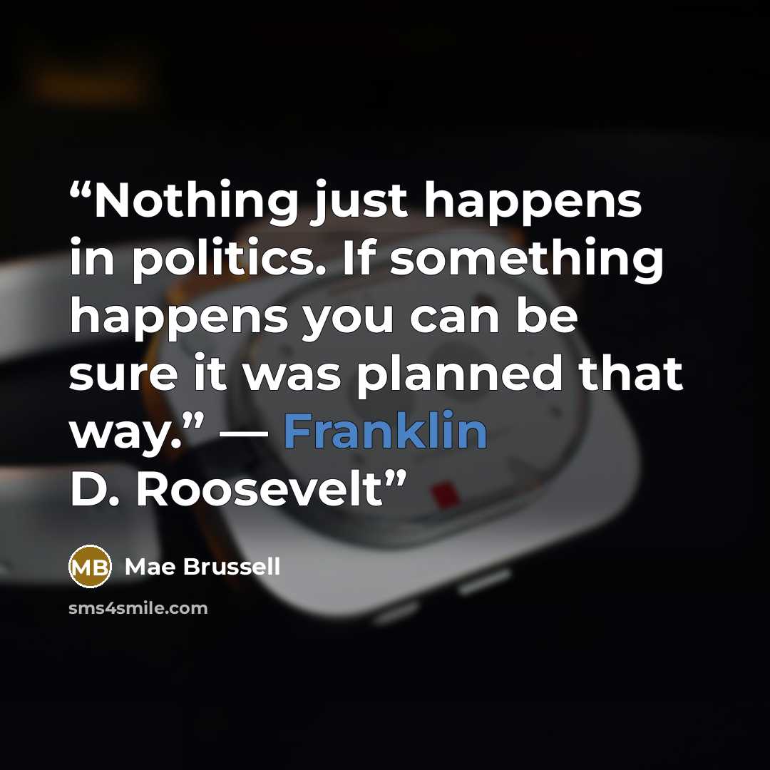 “Nothing just happens in politics. If something happens you can be sure it was planned that way.” — Franklin D. Roosevelt” quote by Mae Brussell