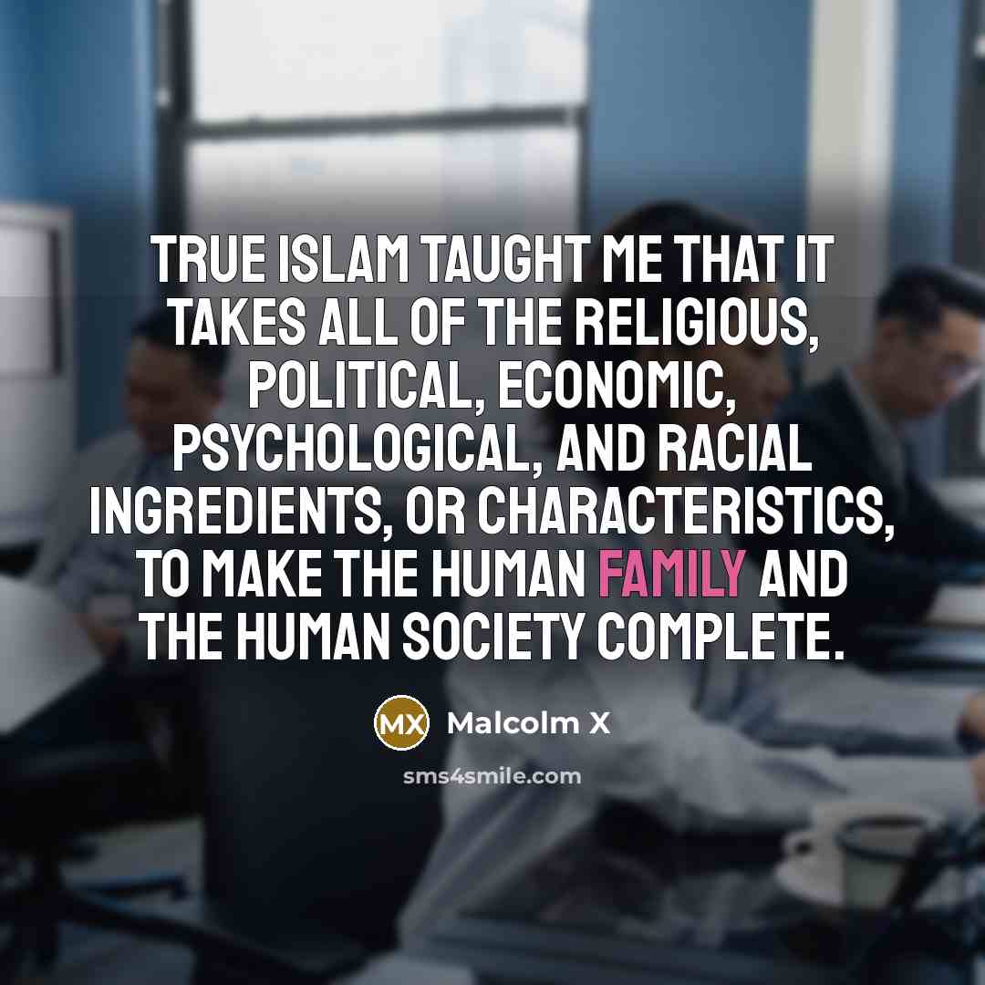 “True Islam taught me that it takes all of the…” quote by Malcolm X