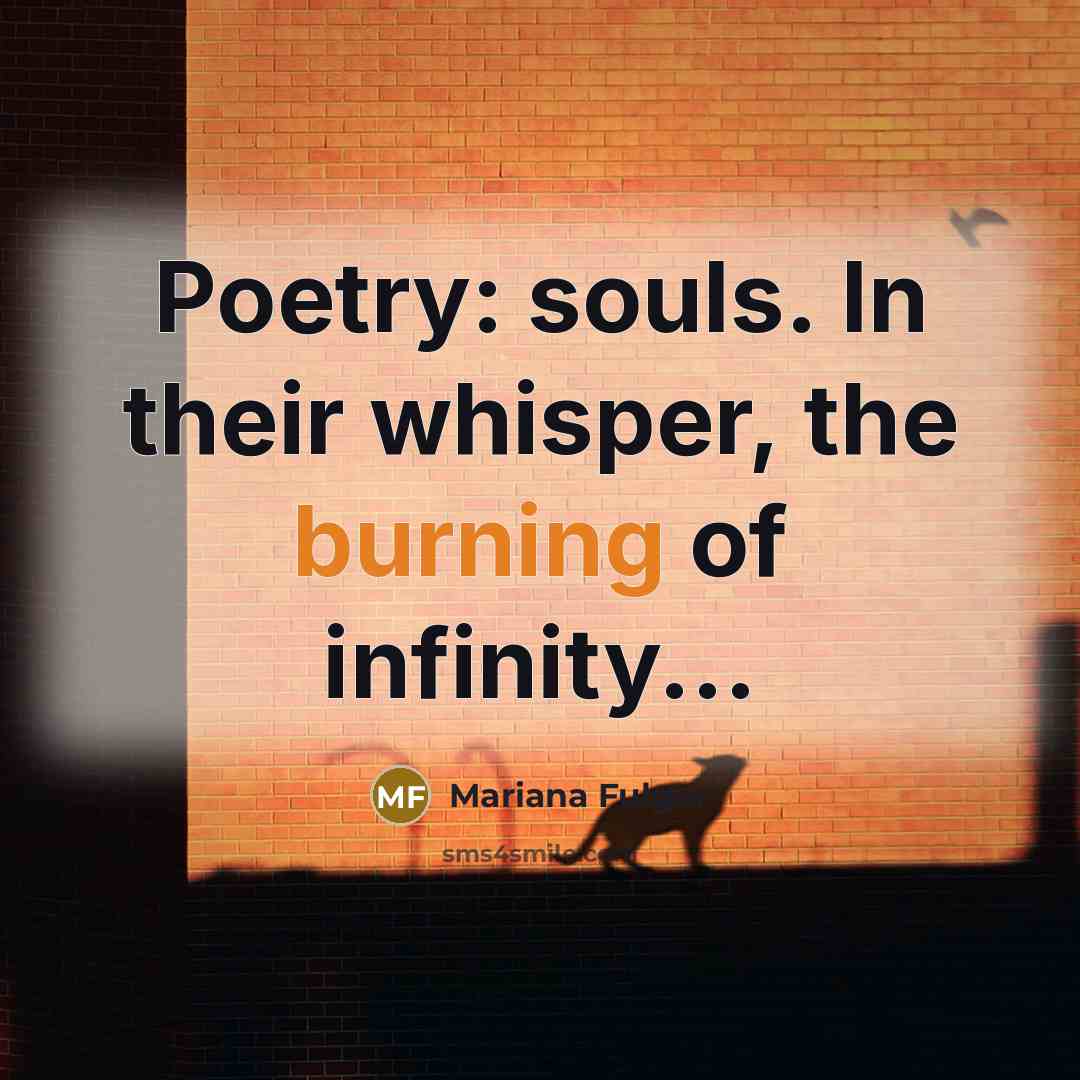 “Poetry: souls. In their whisper, the burning of infinity...…” quote by Mariana Fulger