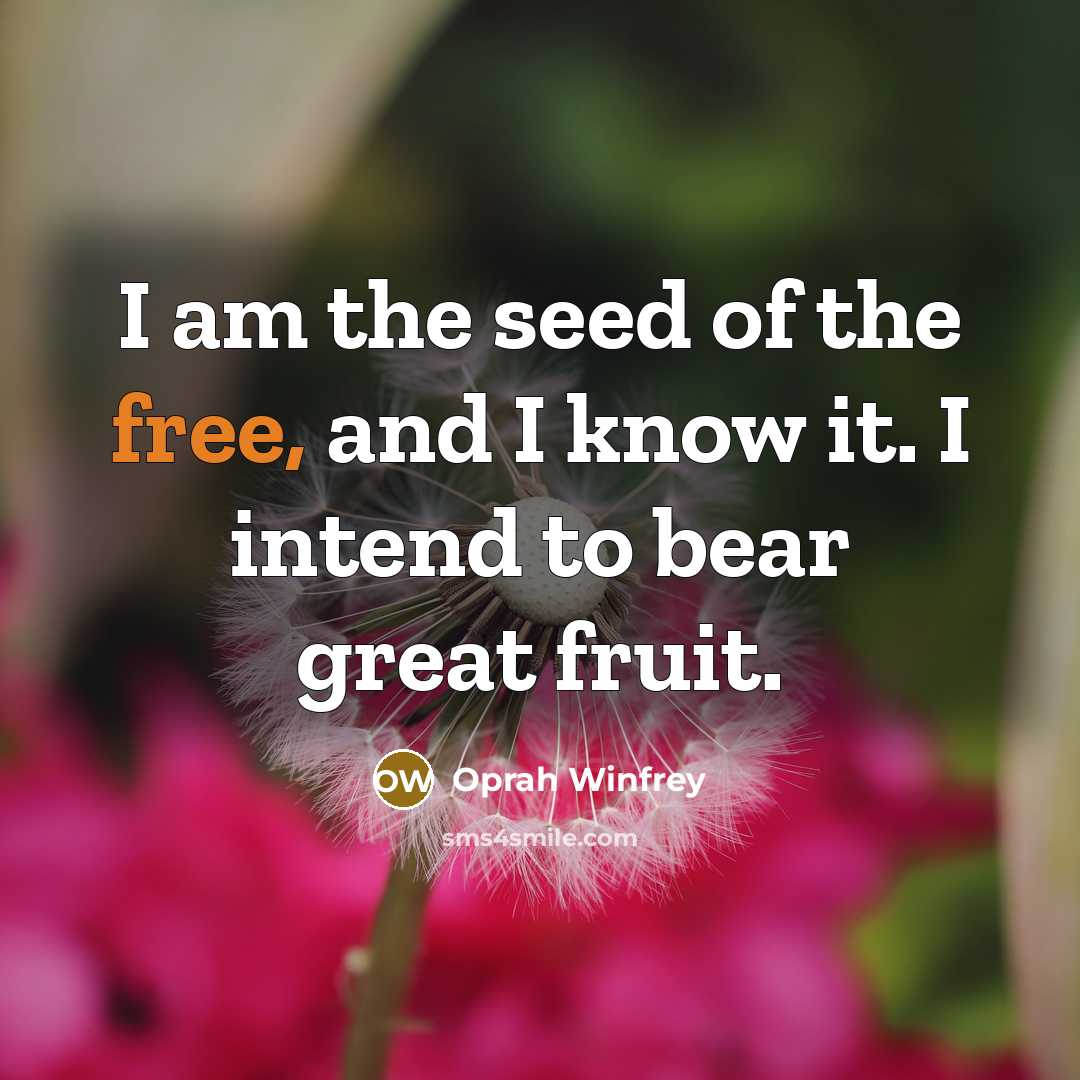 “I am the seed of the free, and I know…” quote by Oprah Winfrey