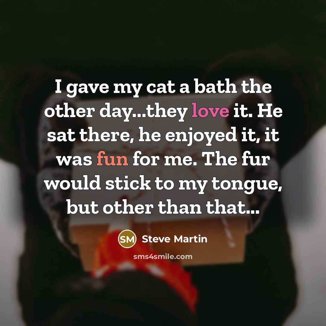 “I gave my cat a bath the other day...they love…” quote by Steve Martin