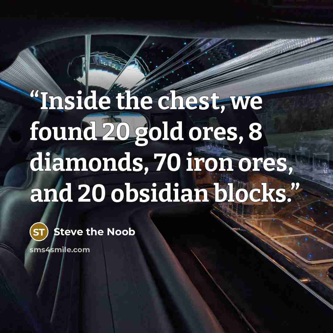 “Inside the chest, we found 20 gold ores, 8 diamonds, 70 iron ores, and 20 obsidian blocks.” quote by Steve the Noob