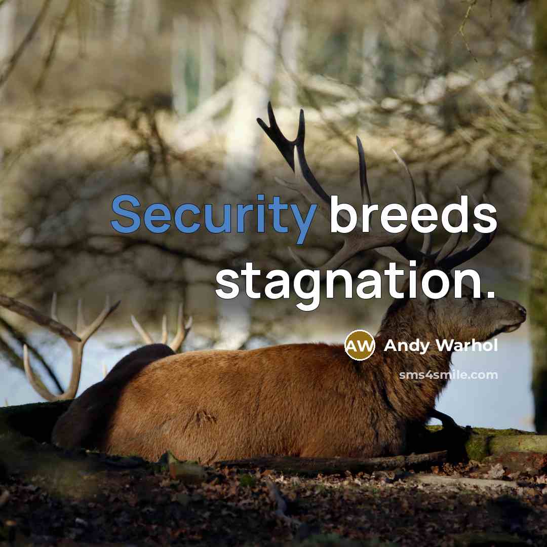“Security breeds stagnation.” quote by Andy Warhol