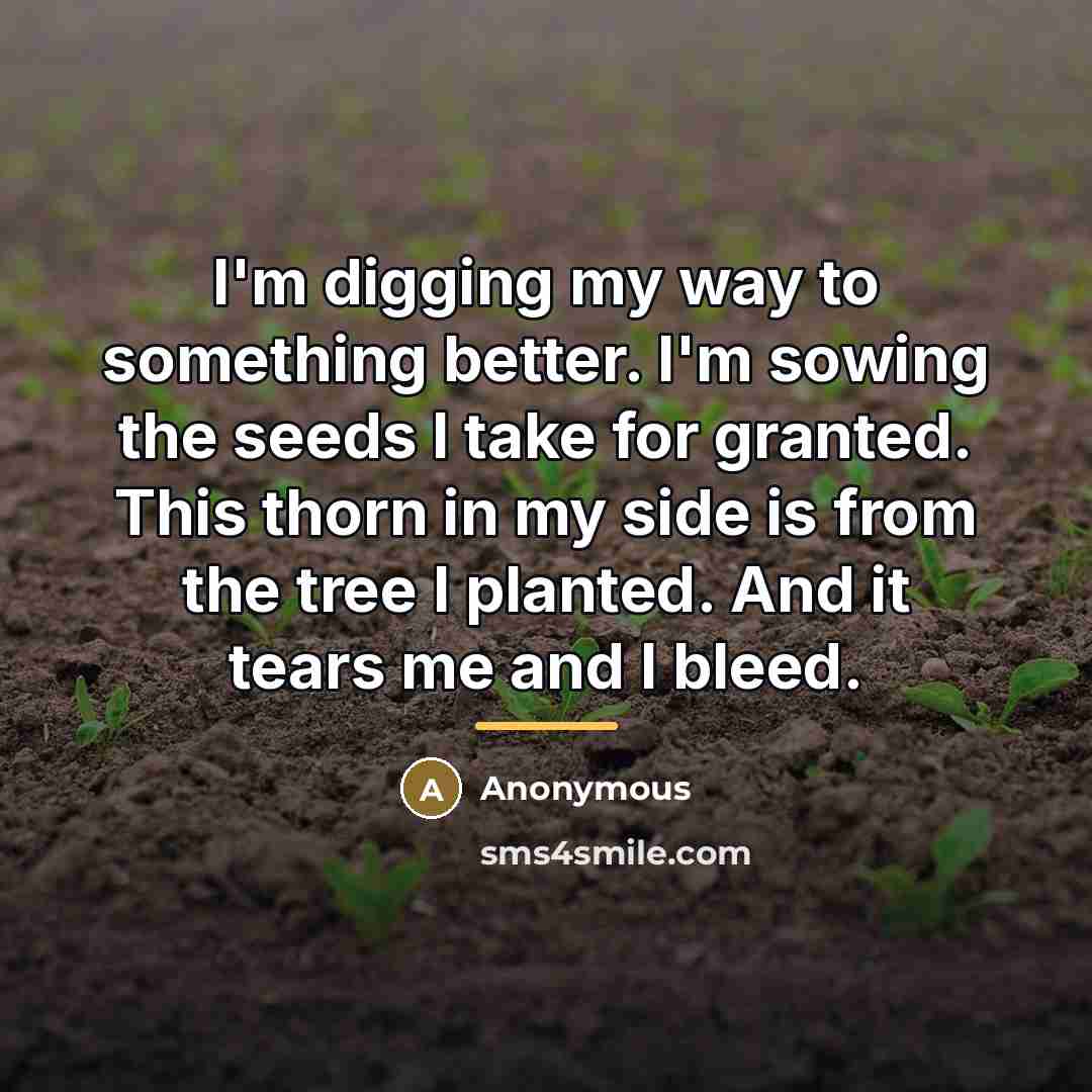“I'm digging my way to something better. I'm sowing the…” quote by Anonymous