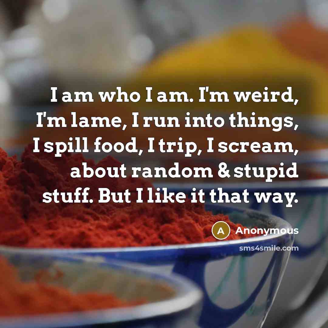“I am who I am. I'm weird, I'm lame, I run into things, I spill food, I trip, I scream, about random & stupid stuff. But I like it that way.” quote by Anonymous