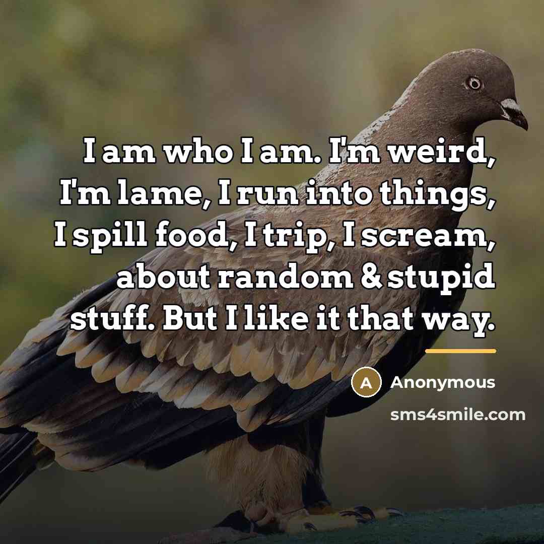 “I am who I am. I'm weird, I'm lame, I…” quote by Anonymous