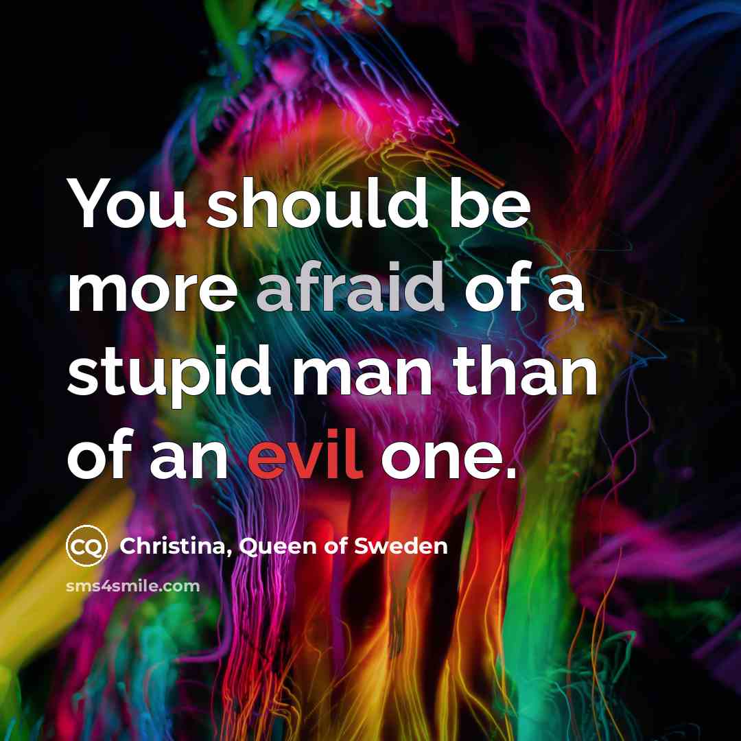 “You should be more afraid of a stupid man than of an evil one.” quote by Christina, Queen of Sweden