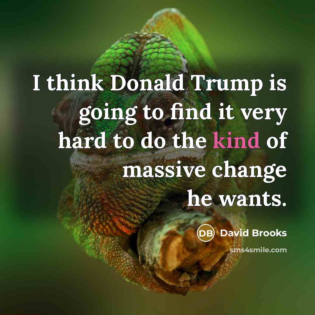 “I think Donald Trump is going to find it very…” quote by David Brooks
