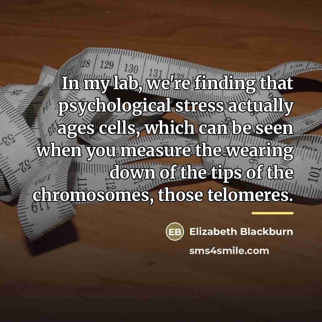 “In my lab, we're finding that psychological stress actually ages…” quote by Elizabeth Blackburn