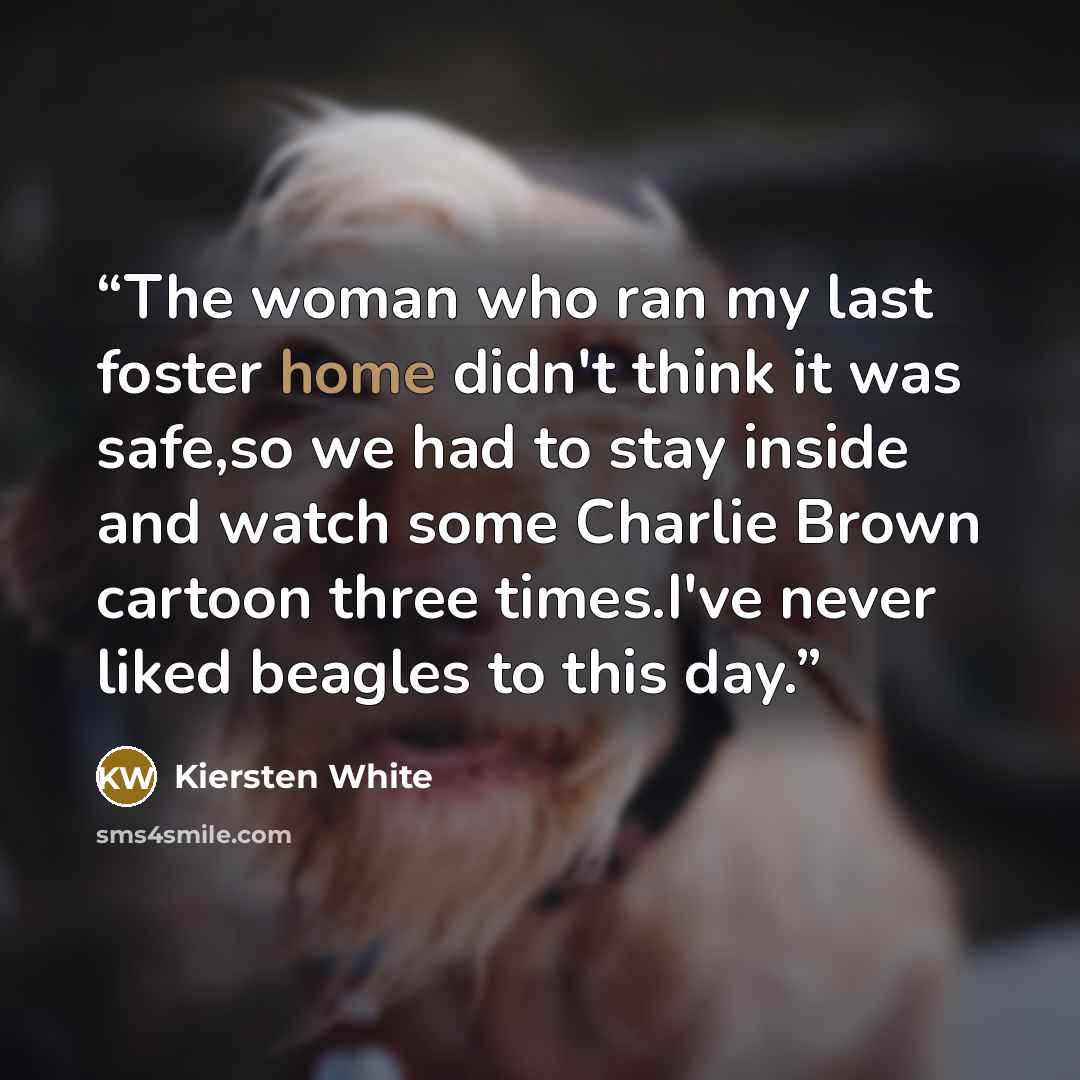 “The woman who ran my last foster home didn't think it was safe,so we had to stay inside and watch some Charlie Brown cartoon three times.I've never liked beagles to this day.” quote by Kiersten White