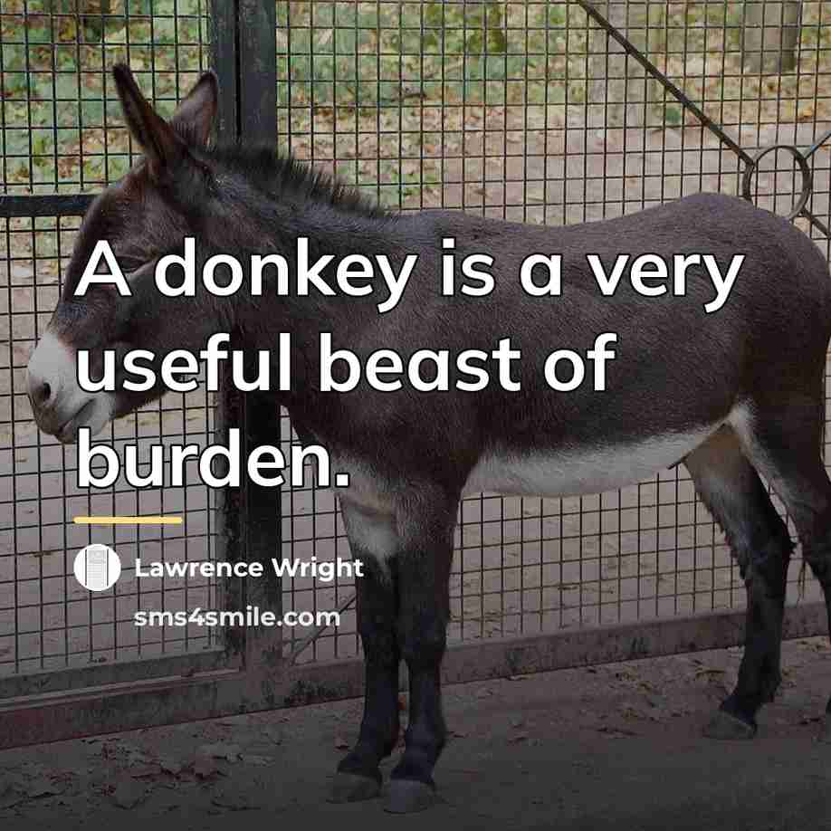 “A donkey is a very useful beast of burden.…” quote by Lawrence Wright