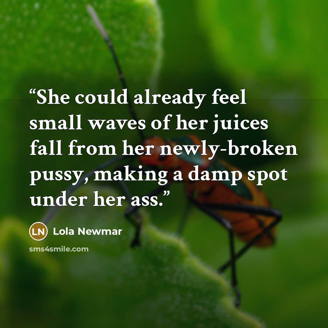 “She could already feel small waves of her juices fall from her newly-broken pussy, making a damp spot under her ass.” quote by Lola Newmar
