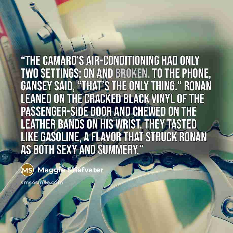 “The Camaro’s air-conditioning had only two settings: on and broken. To the phone, Gansey said, “That’s the only thing.” Ronan leaned on the cracked black vinyl of the passenger-side door and chewed on the leather bands on his wrist. They tasted like gasoline, a flavor that struck Ronan as both…” quote by Maggie Stiefvater