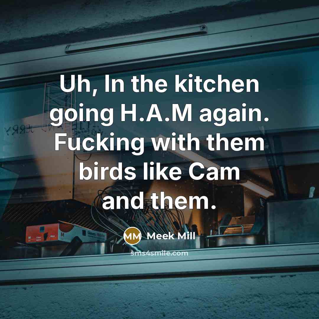 “Uh, In the kitchen going H.A.M again. Fucking with them…” quote by Meek Mill