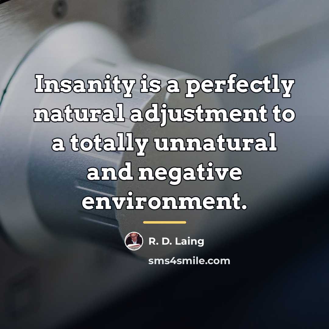 “Insanity is a perfectly natural adjustment to a totally unnatural…” quote by R. D. Laing