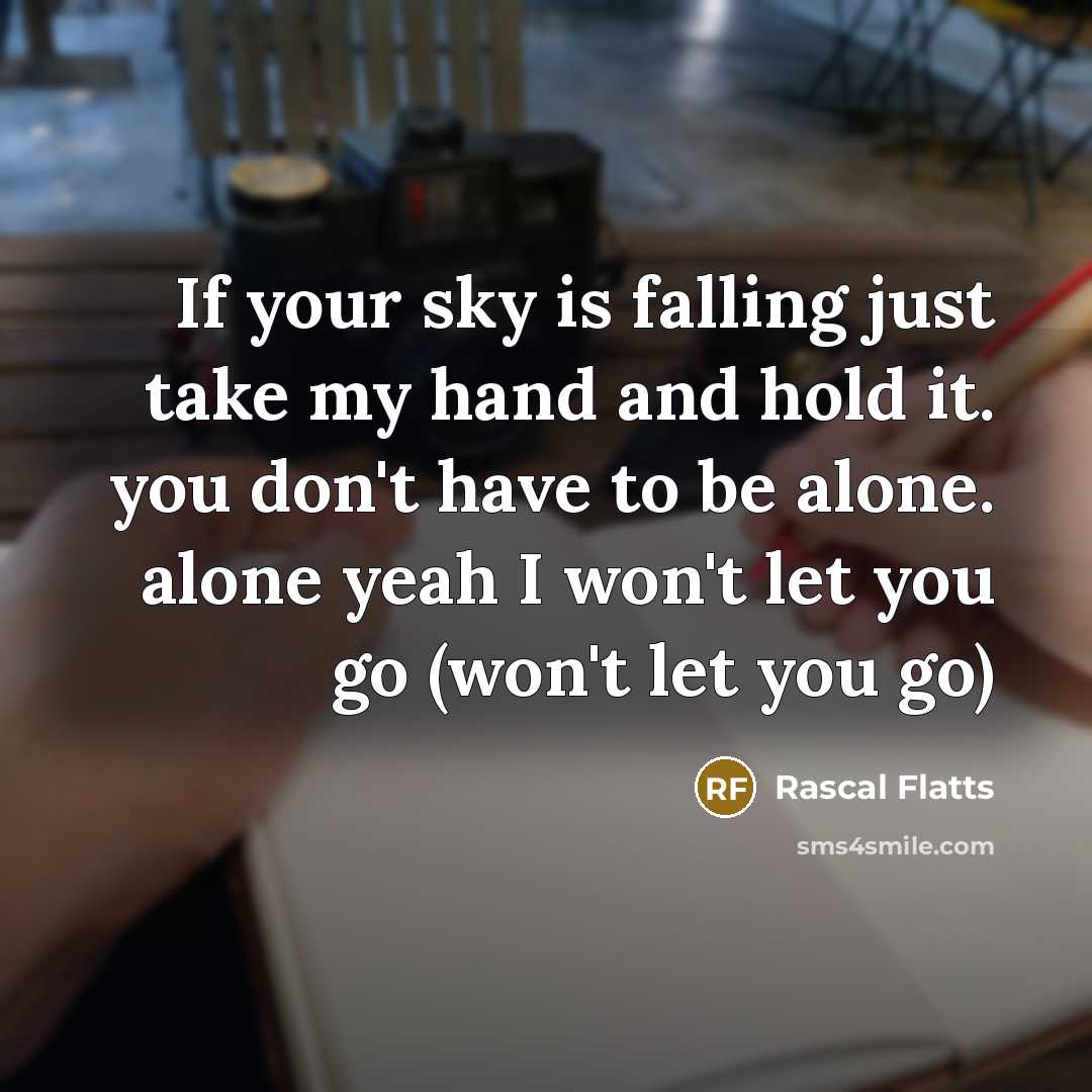 “If your sky is falling just take my hand and hold it. you don't have to be alone. alone yeah I won't let you go (won't let you go)” quote by Rascal Flatts