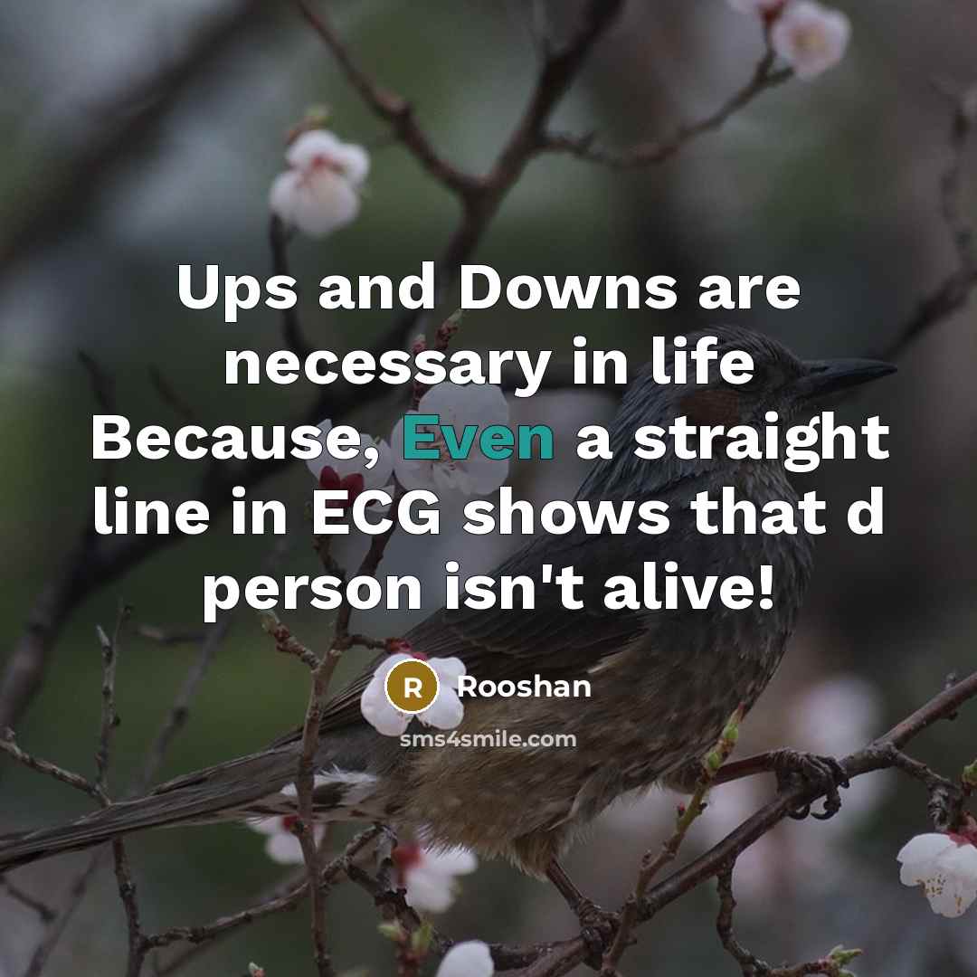 “Ups and Downs are necessary in life Because, Even a…” quote by Rooshan