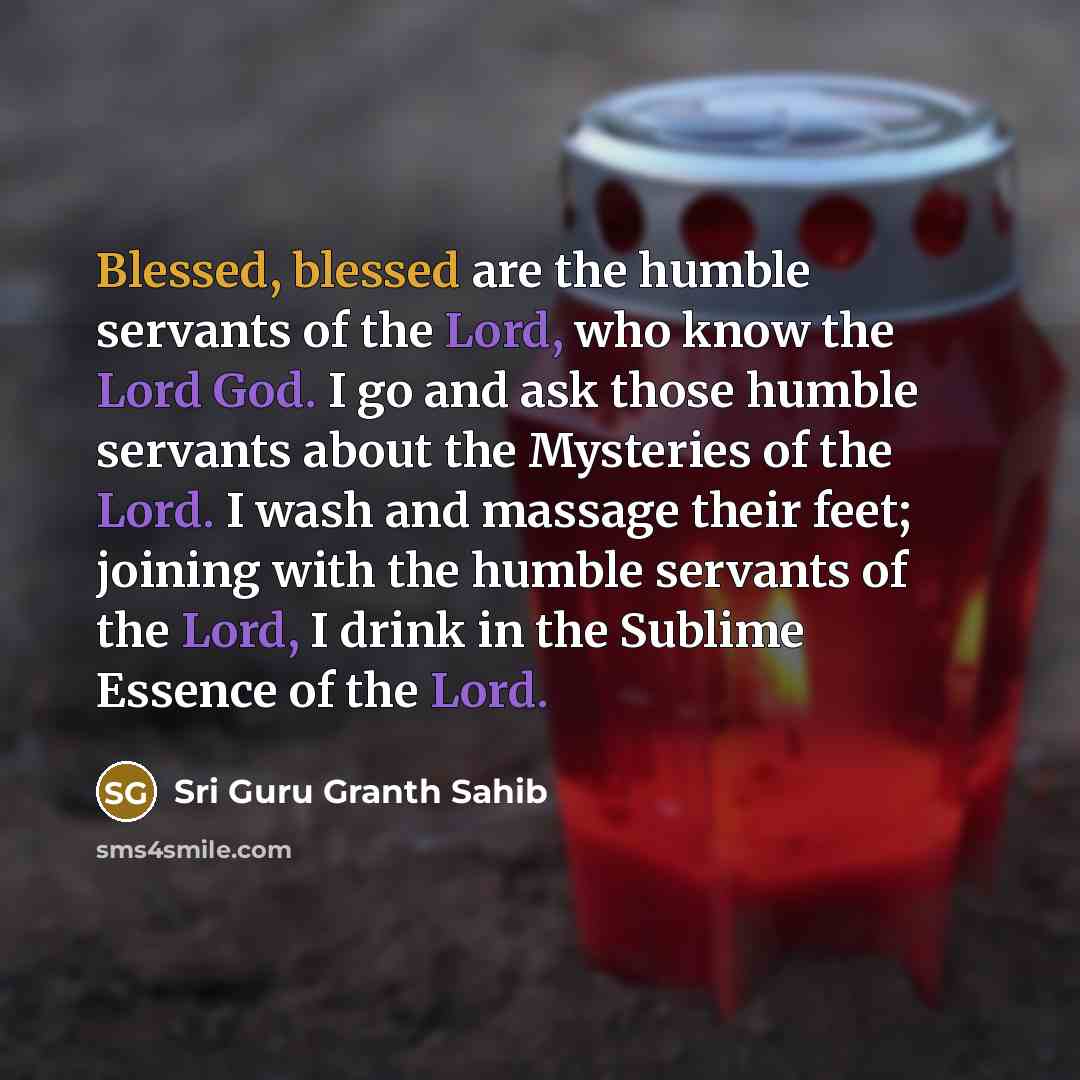 “Blessed, blessed are the humble servants of the Lord, who know the Lord God. I go and ask those humble servants about the Mysteries of the Lord. I wash and massage their feet; joining with the humble servants of the Lord, I drink in the Sublime Essence of the Lord.” quote by Sri Guru Granth Sahib