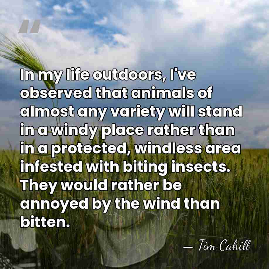 In my life outdoors, I've observed that animals of almost any variety&hellip; - Tim Cahill