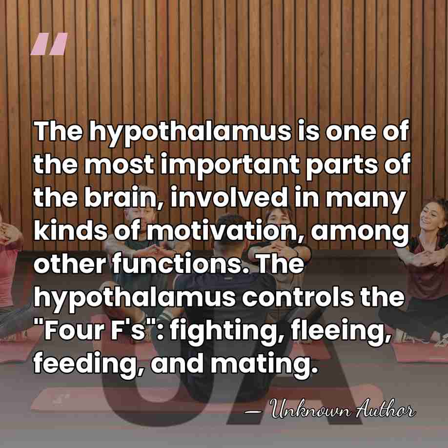The hypothalamus is one of the most important parts of the brain,&hellip; - Unknown Author