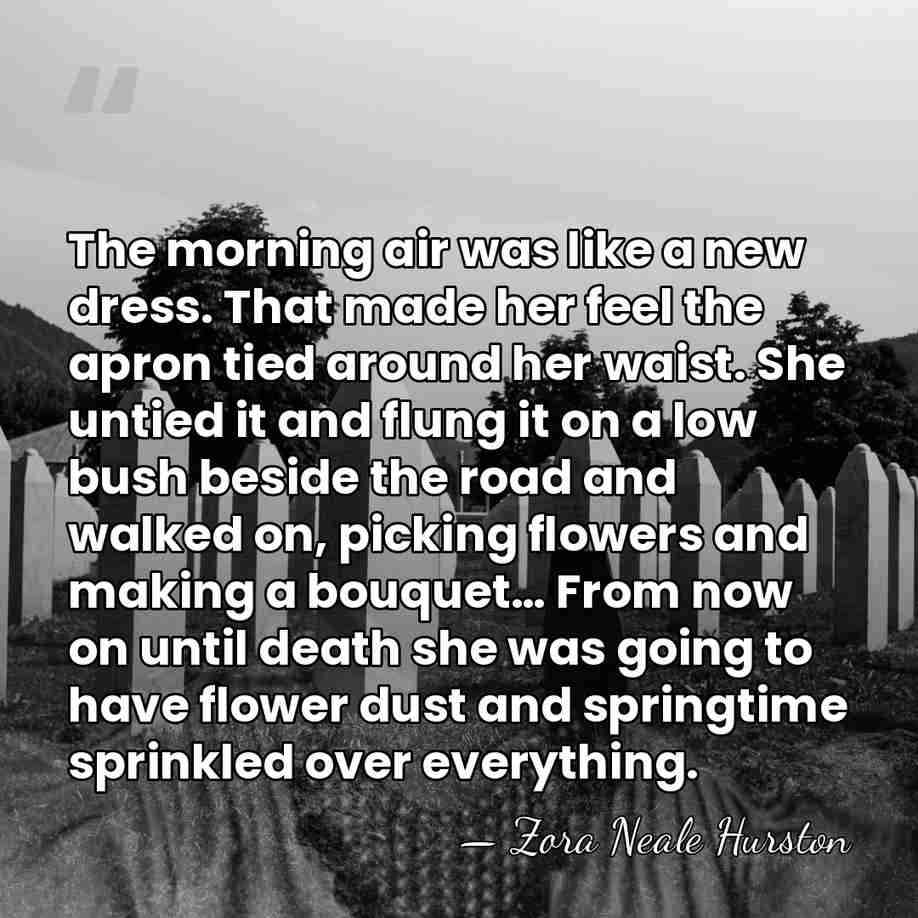 The morning air was like a new dress. That made her feel&hellip; - Zora Neale Hurston