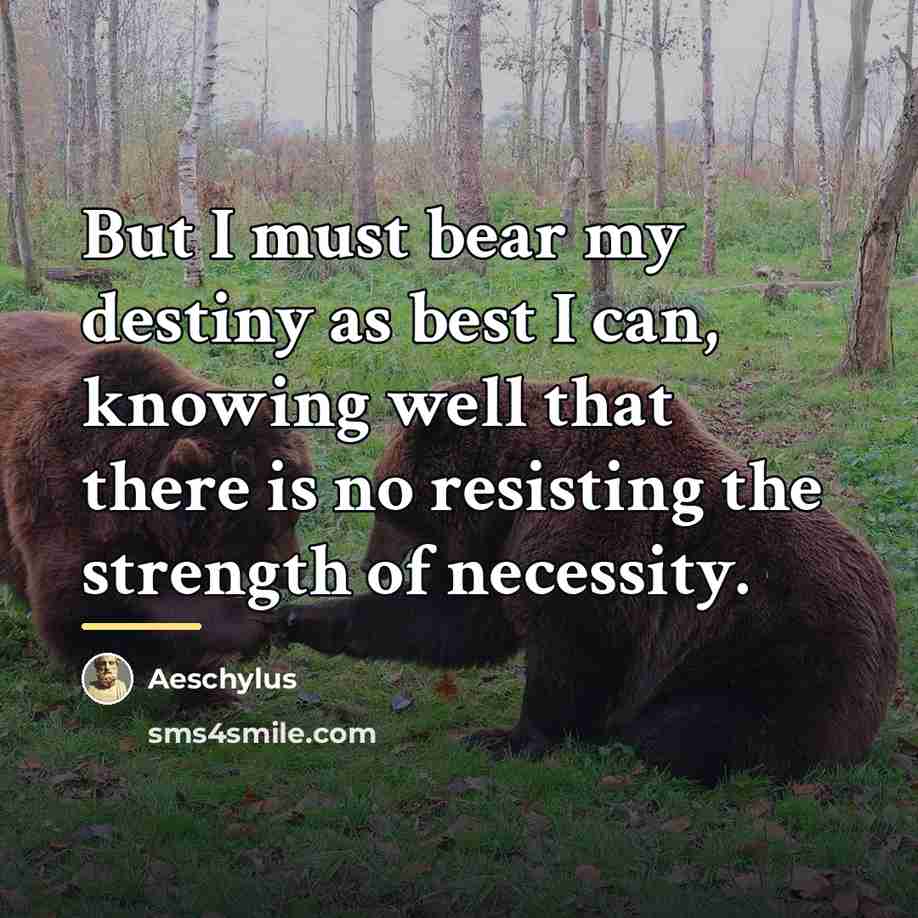 “But I must bear my destiny as best I can,…” quote by Aeschylus