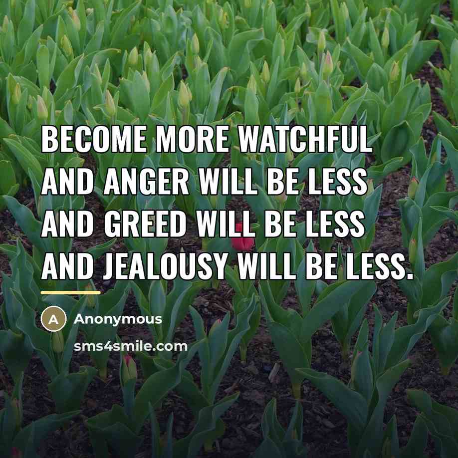 “Become more watchful and anger will be less and greed…” quote by Anonymous