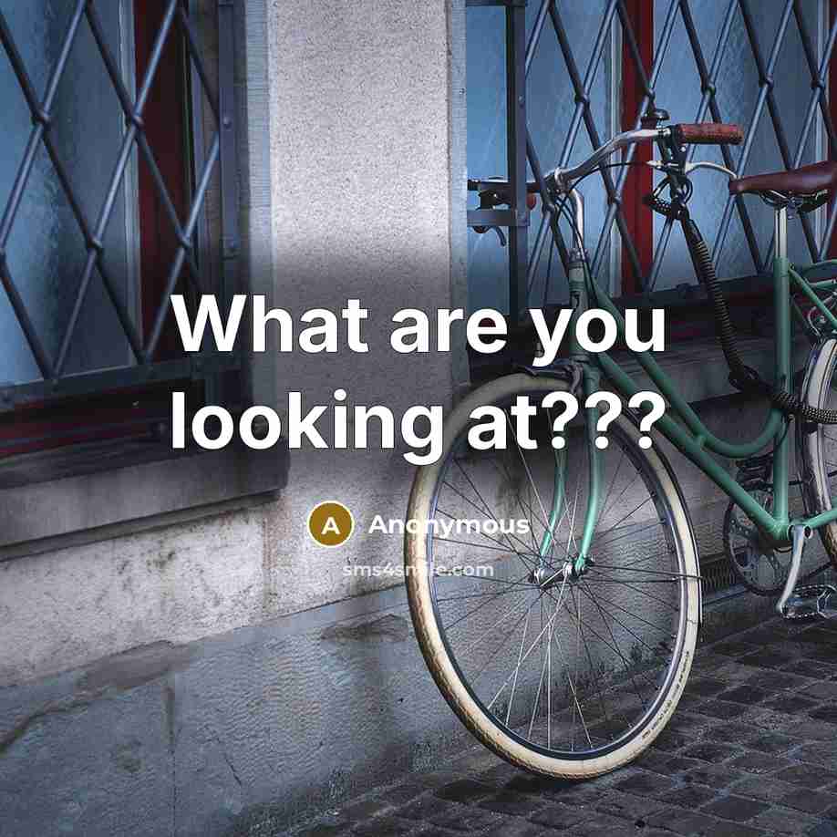 “What are you looking at???…” quote by Anonymous