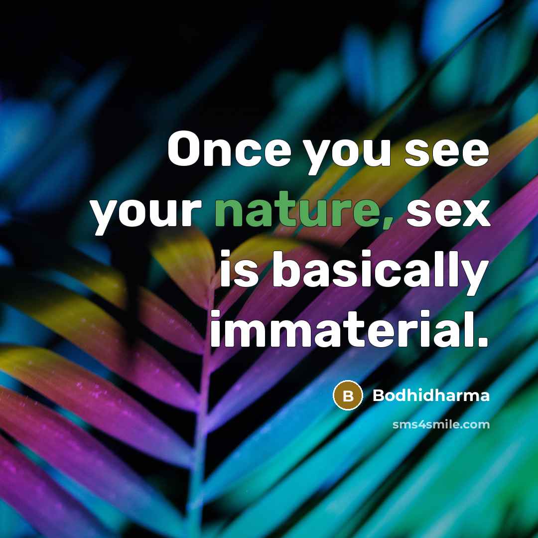 “Once you see your nature, sex is basically immaterial.…” quote by Bodhidharma