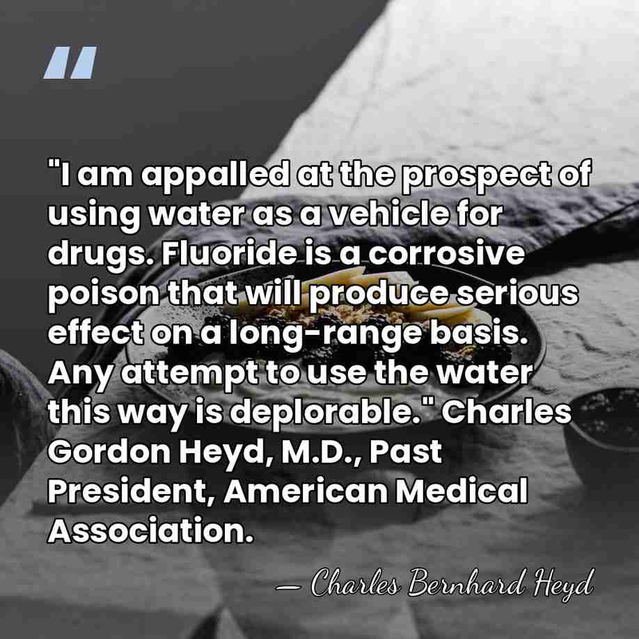 "I am appalled at the prospect of using water as a vehicle&hellip; - Charles Bernhard Heyd