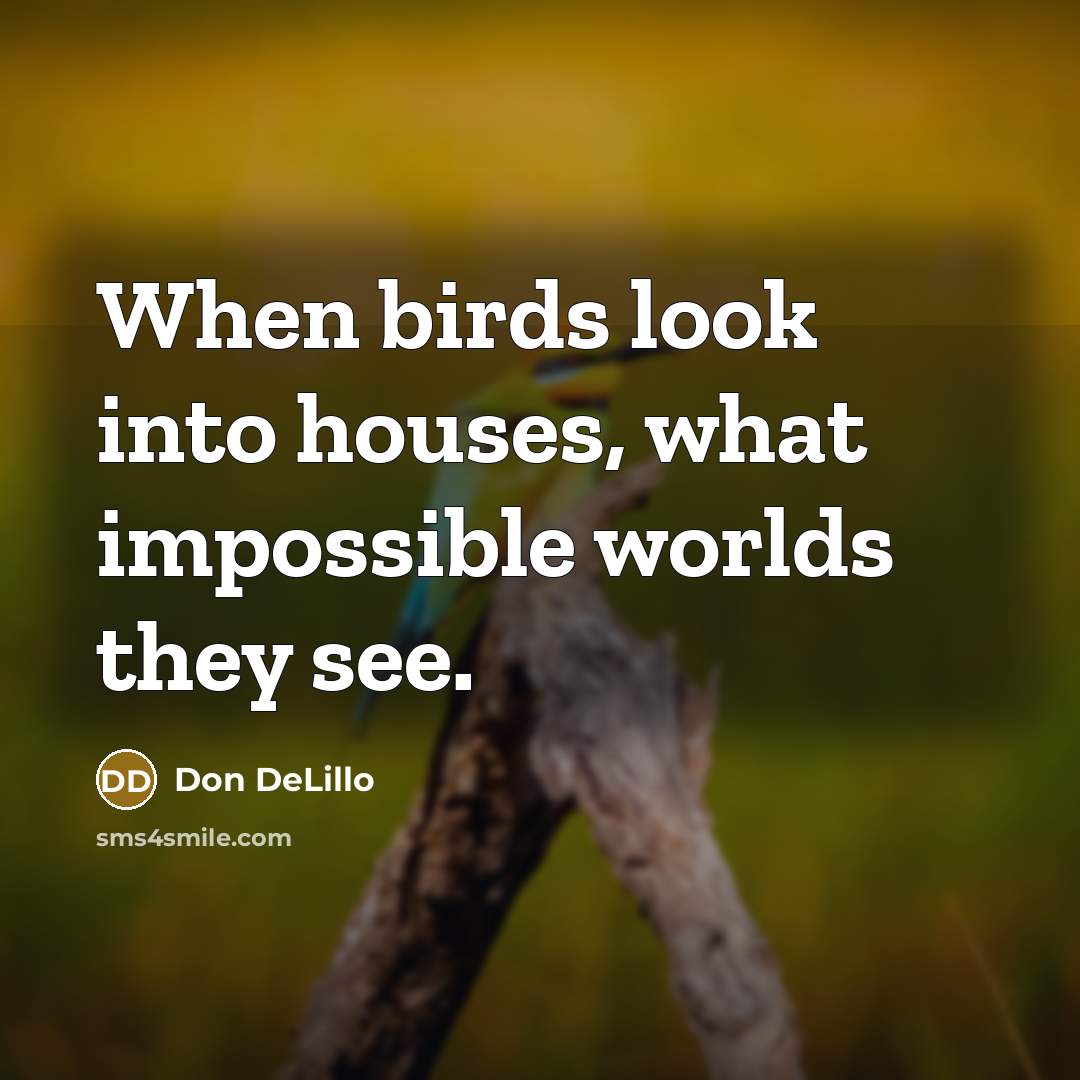 “When birds look into houses, what impossible worlds they see.…” quote by Don DeLillo
