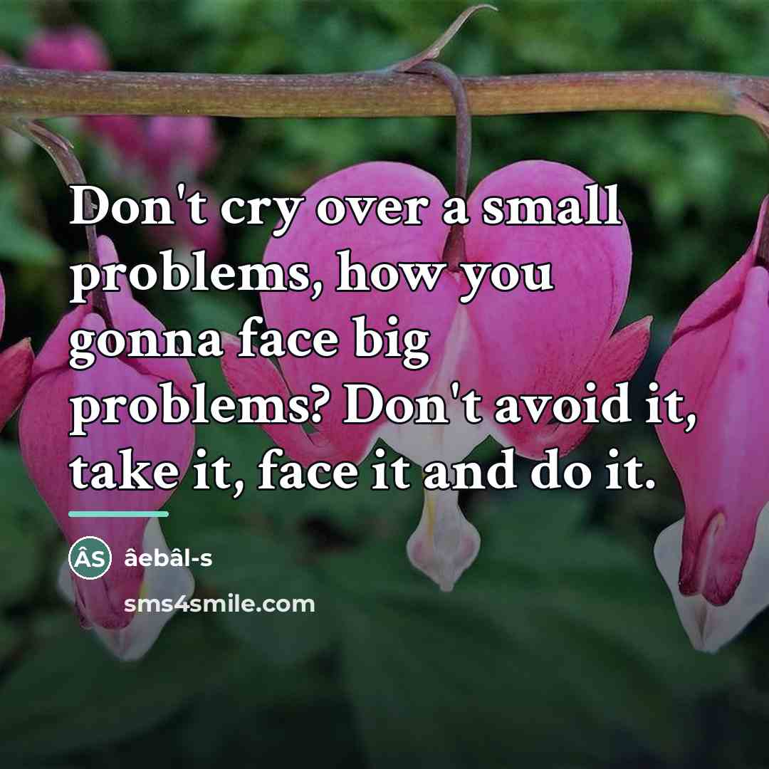 “Don't cry over a small problems, how you gonna face…” quote by âebâl-s