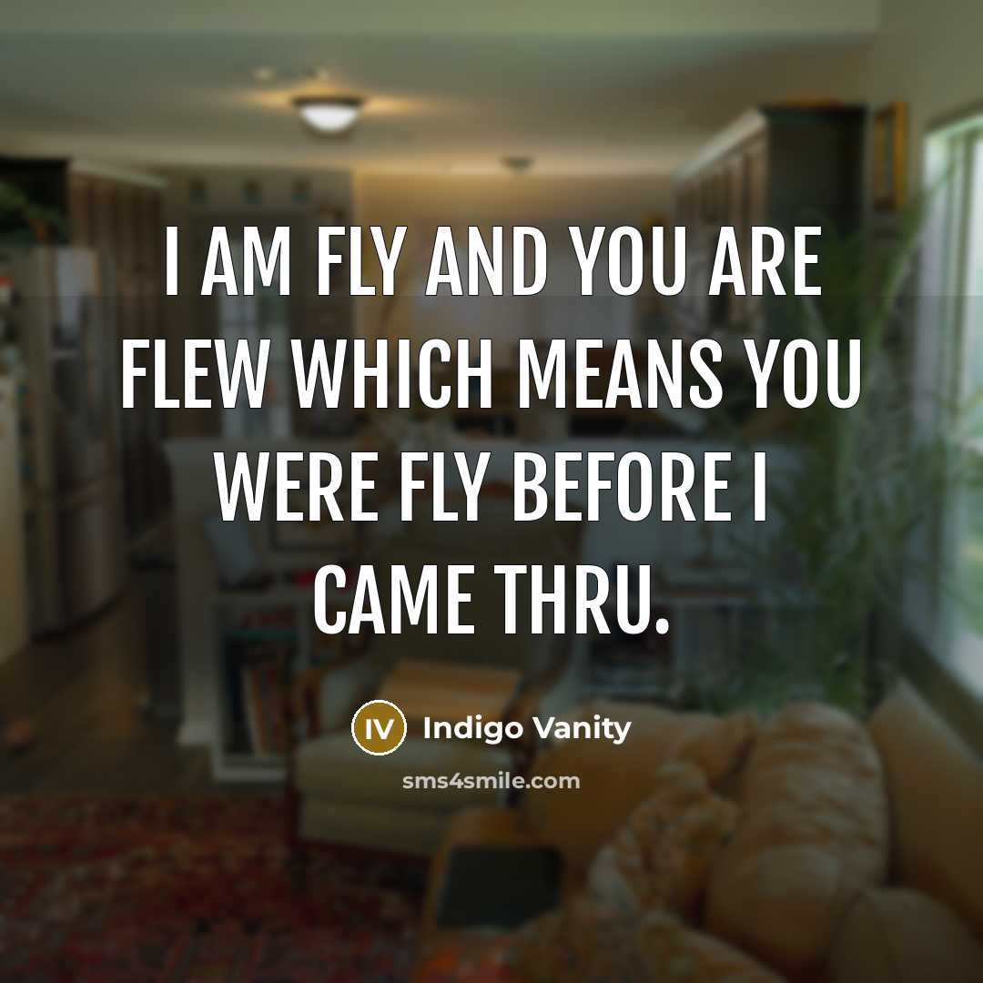 “I am fly and you are flew which means you…” quote by Indigo Vanity
