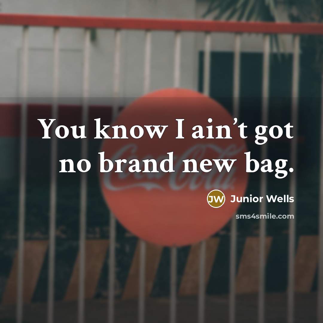 “You know I ain’t got no brand new bag.…” quote by Junior Wells