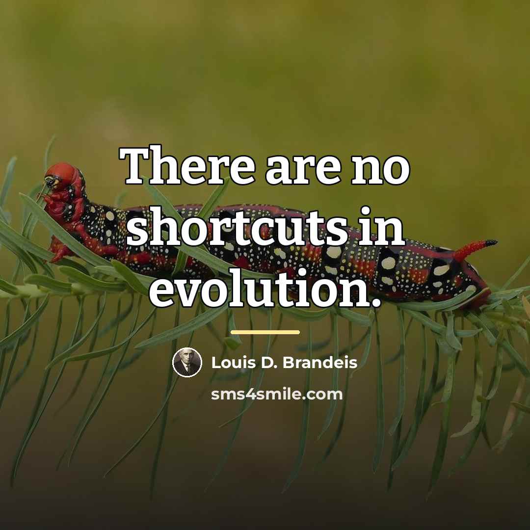 “There are no shortcuts in evolution.…” quote by Louis D. Brandeis