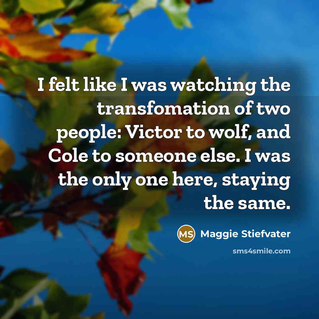 “I felt like I was watching the transfomation of two…” quote by Maggie Stiefvater