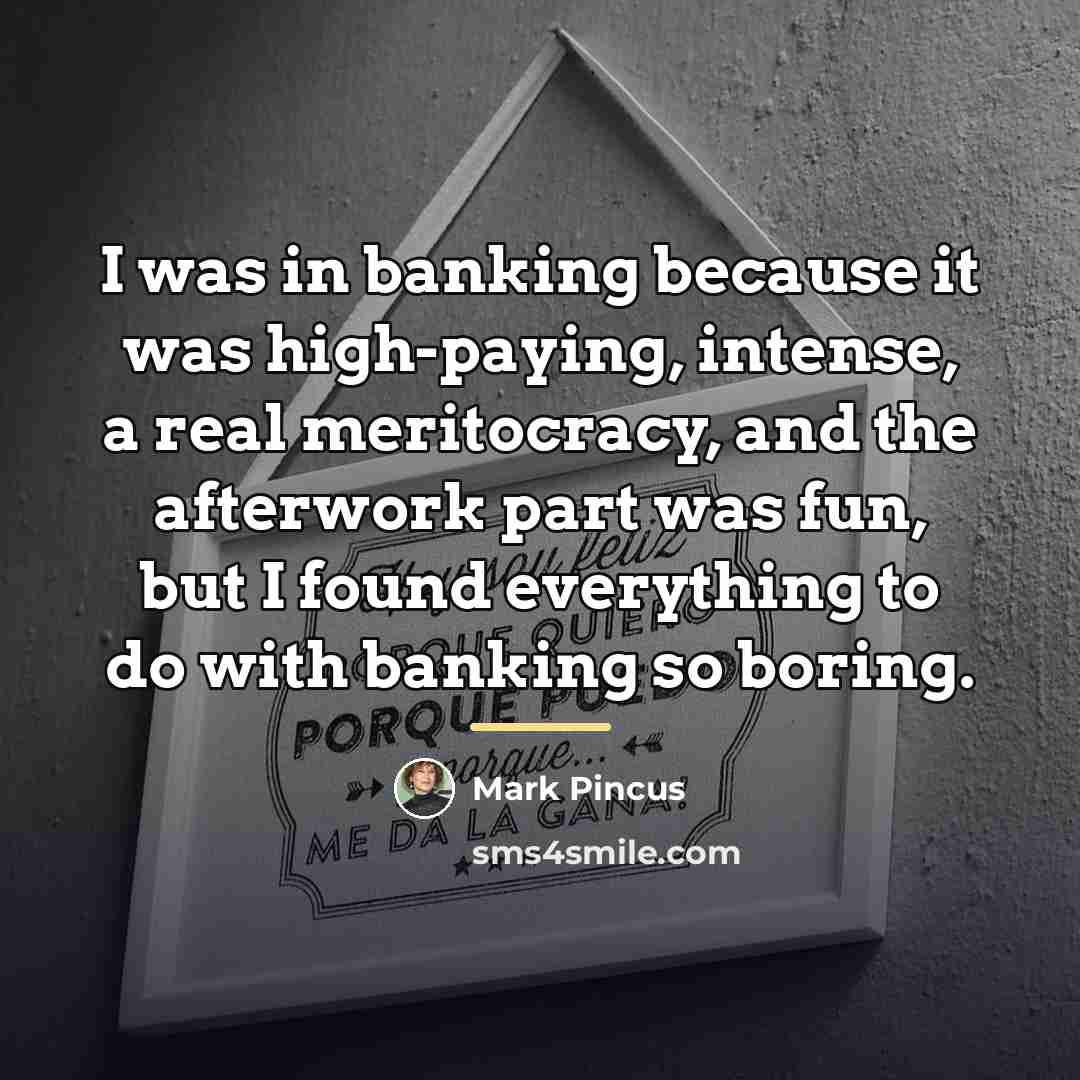 “I was in banking because it was high-paying, intense, a…” quote by Mark Pincus
